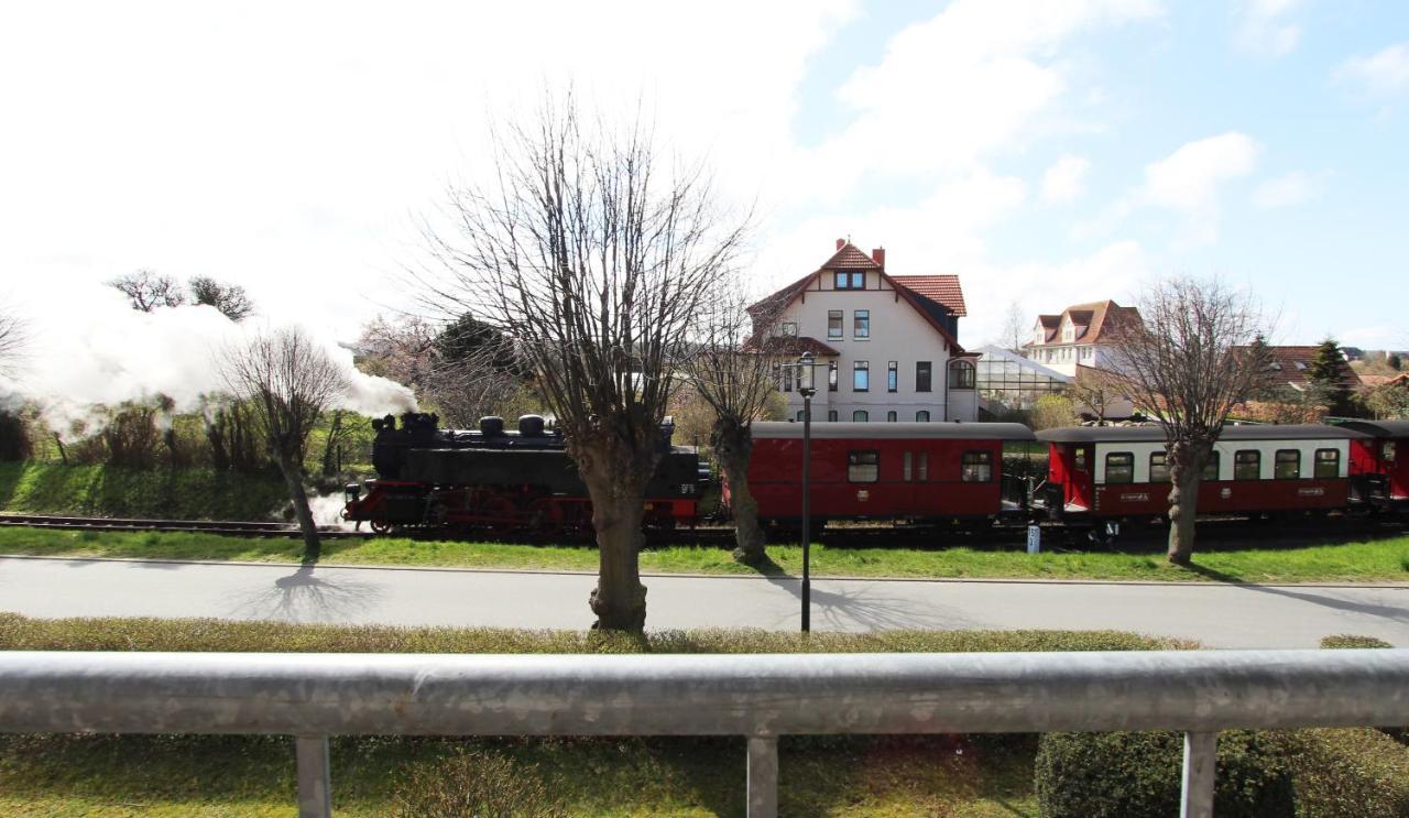 Ferienwohnung Am Molli Nr. 1 Ostseebad Kühlungsborn Екстериор снимка